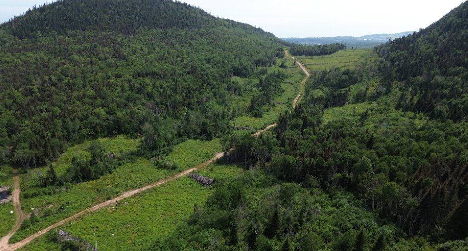 Terre à bois