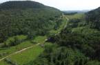Terre à bois