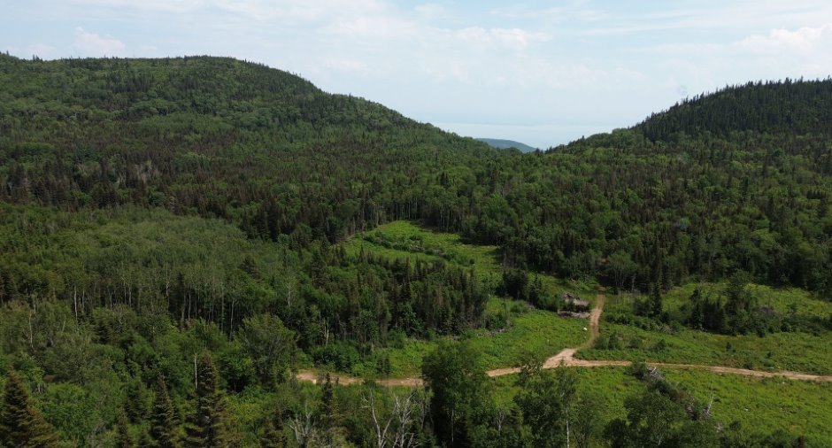Terre à bois