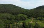 Terre à bois
