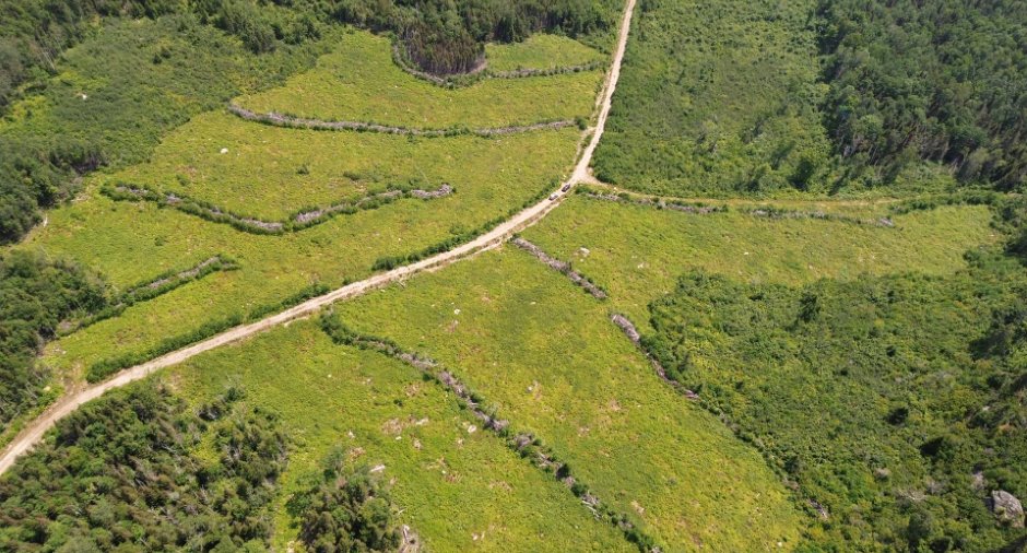 Terre à bois