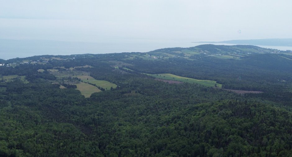 Vue