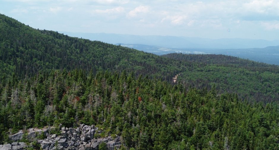 Vue