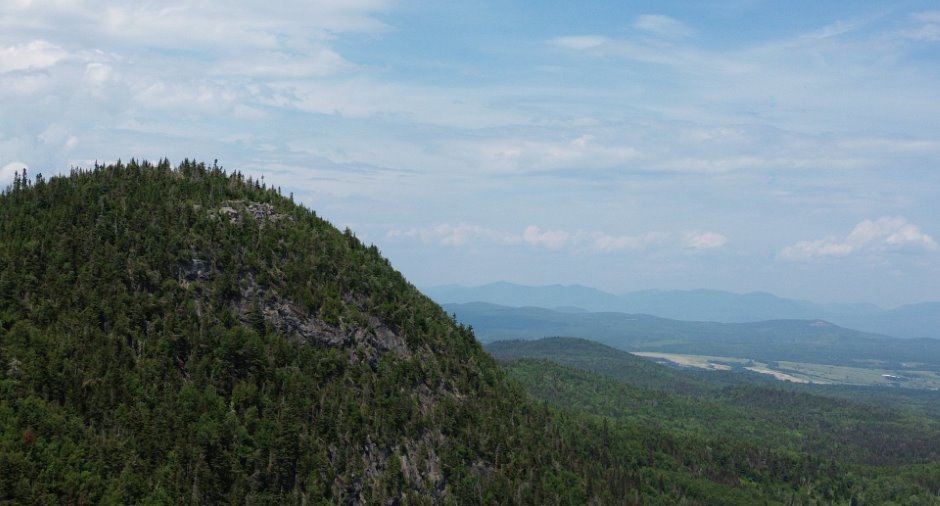 Vue