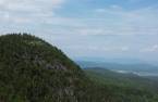 Vue