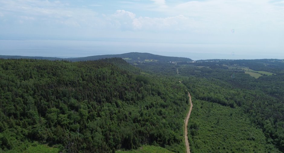 Terre à bois