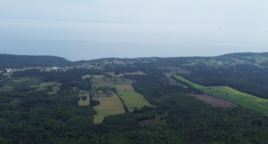 Vue