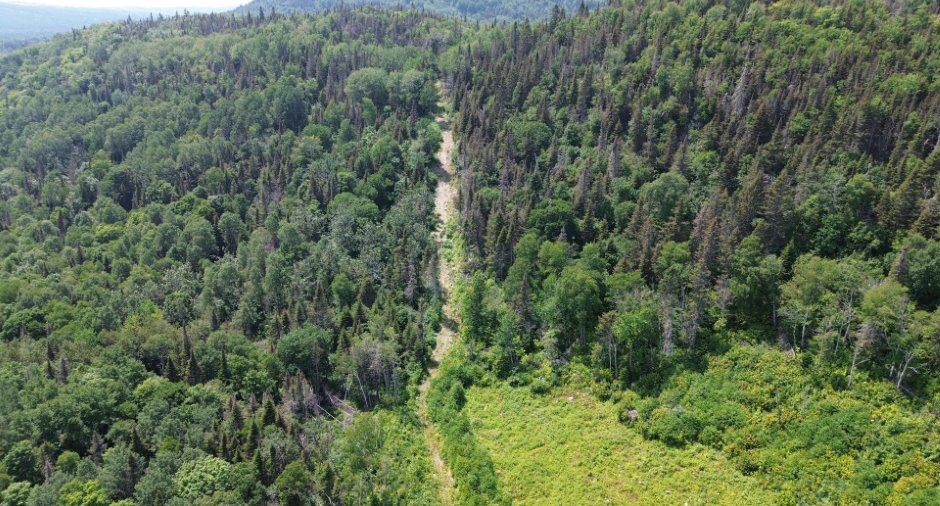 Terre à bois