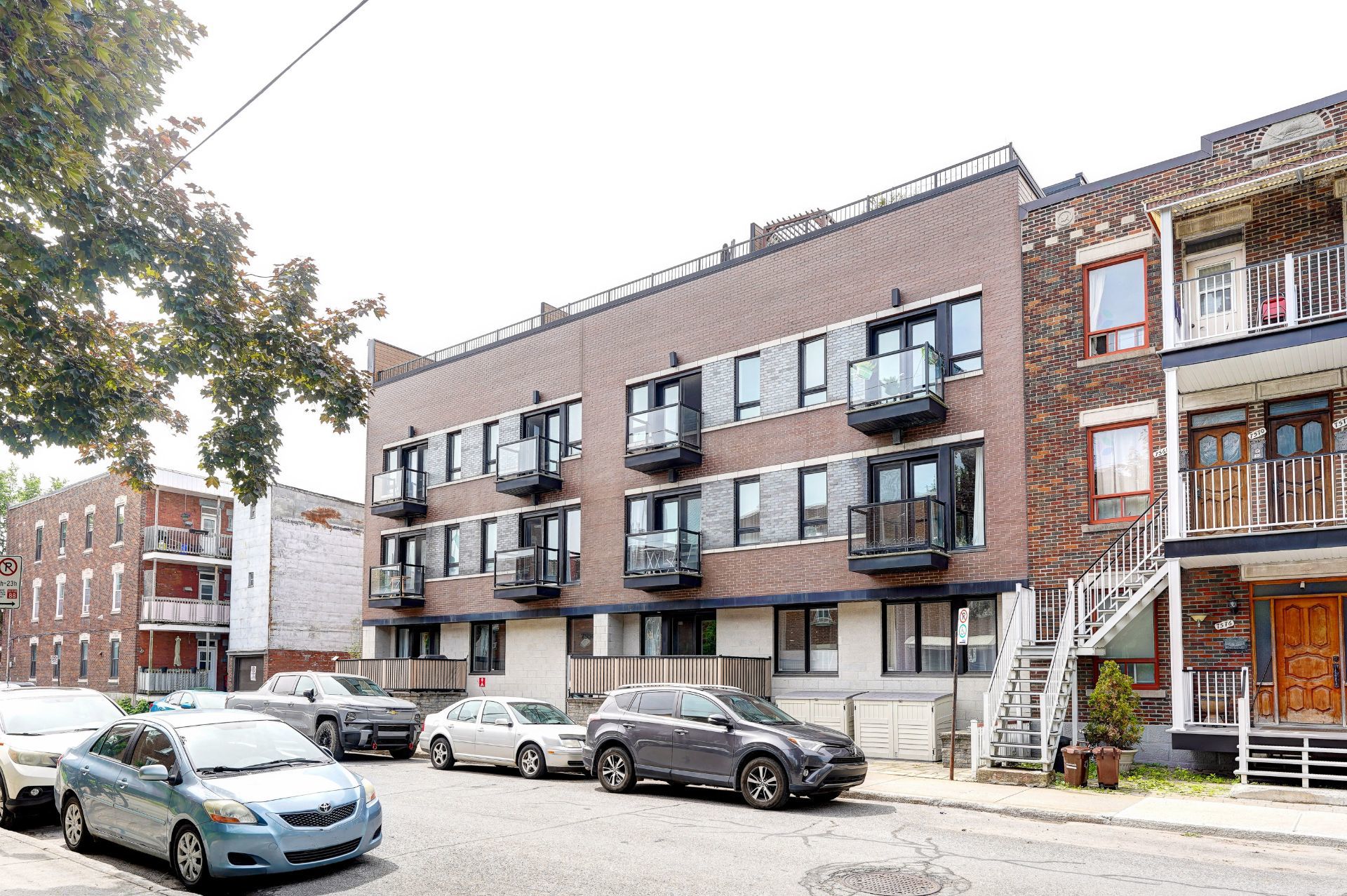 7550 Rue St-Dominique (#203) — photo 2