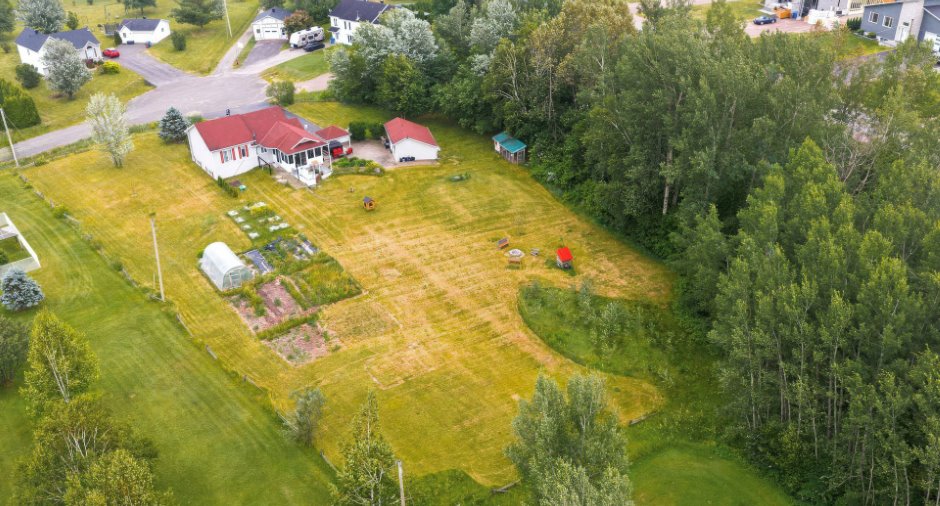 Overall View