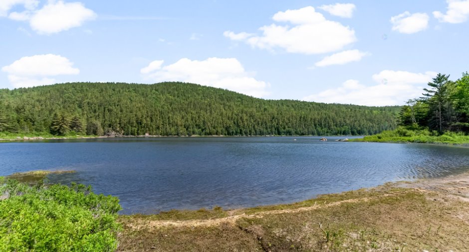 Bord de l'eau