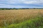 Terre/Terrain
