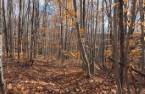 Terre/Terrain