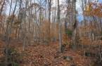Terre/Terrain