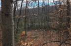 Terre/Terrain