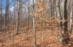 Terre/Terrain