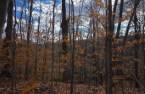 Terre/Terrain
