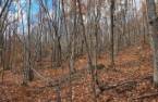 Terre/Terrain