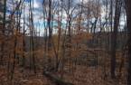 Terre/Terrain