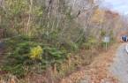 Terre/Terrain