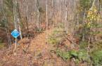 Terre/Terrain