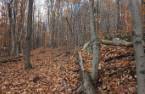 Terre/Terrain