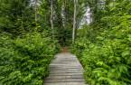 Terre/Terrain