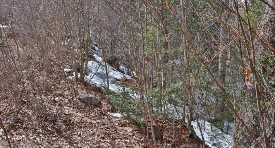 Land/Lot