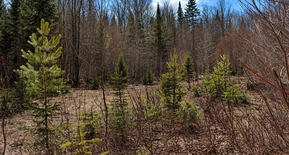 Land/Lot