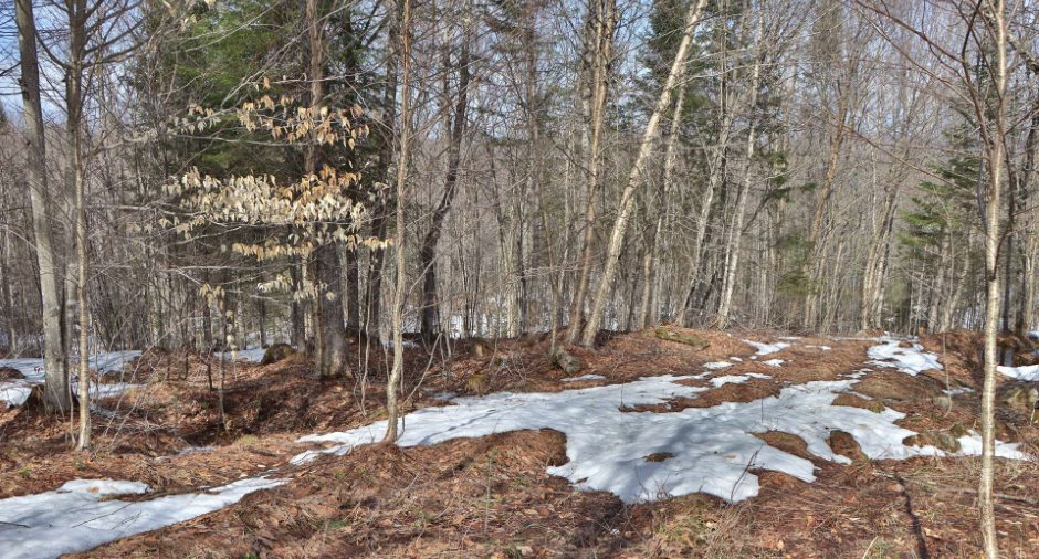 Land/Lot