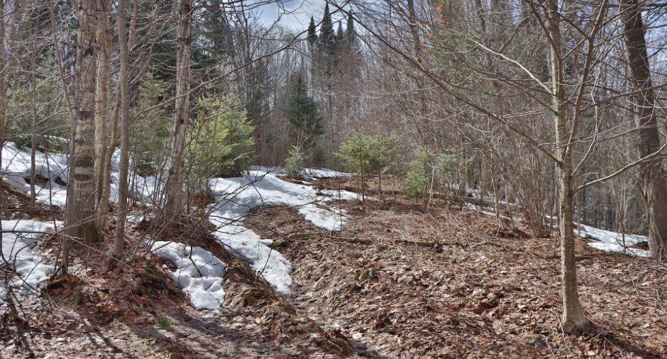 Land/Lot