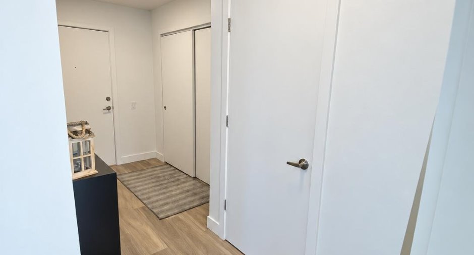 Hall d’entrée/Vestibule
