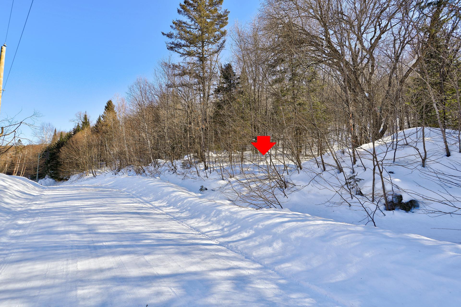Ch. du Lac-Élan — photo 3