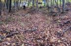 Terre/Terrain
