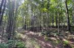 Terre/Terrain