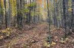 Terre/Terrain