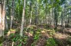 Terre/Terrain