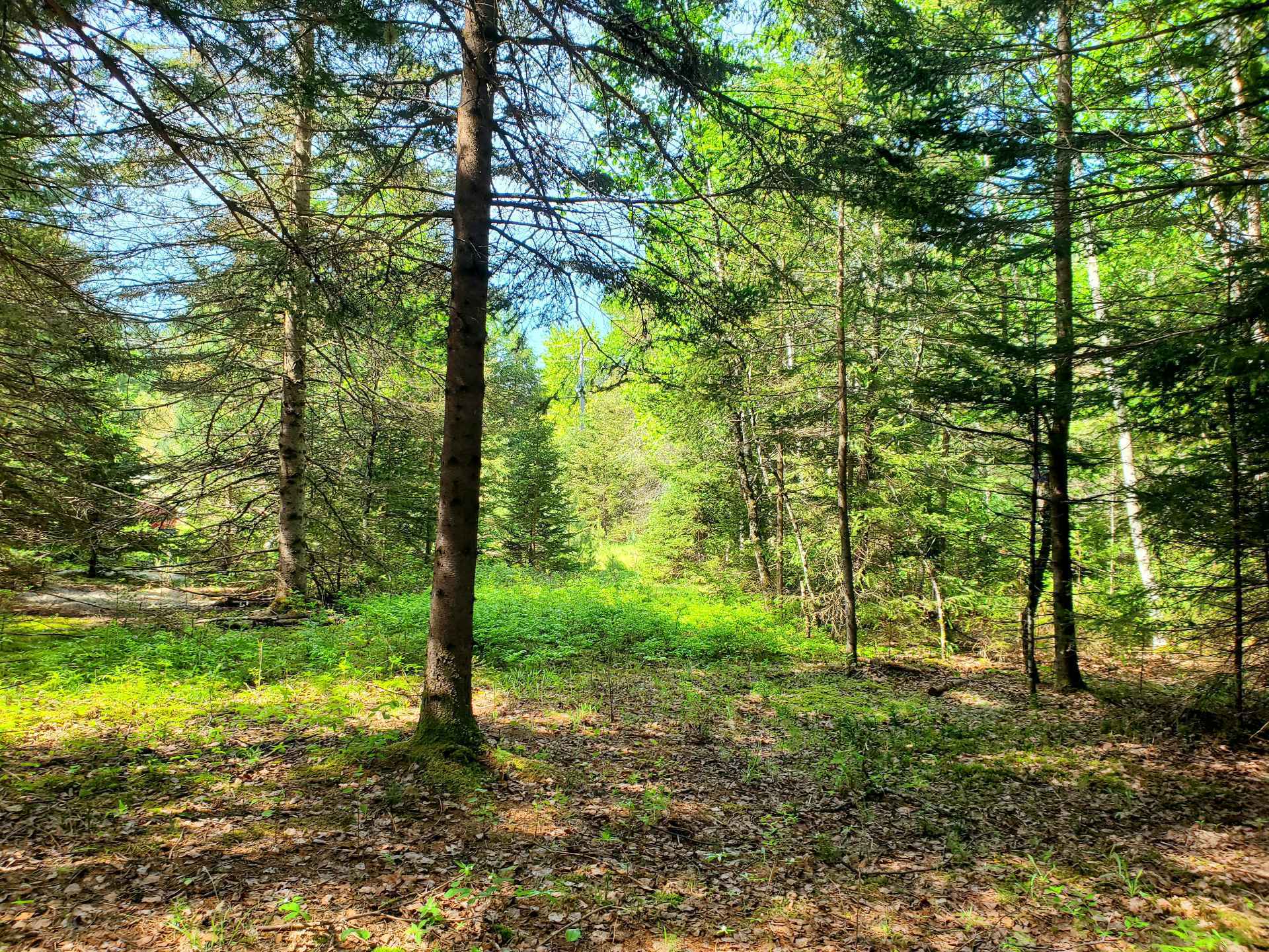 Ch. de la Rivière N. — photo 1
