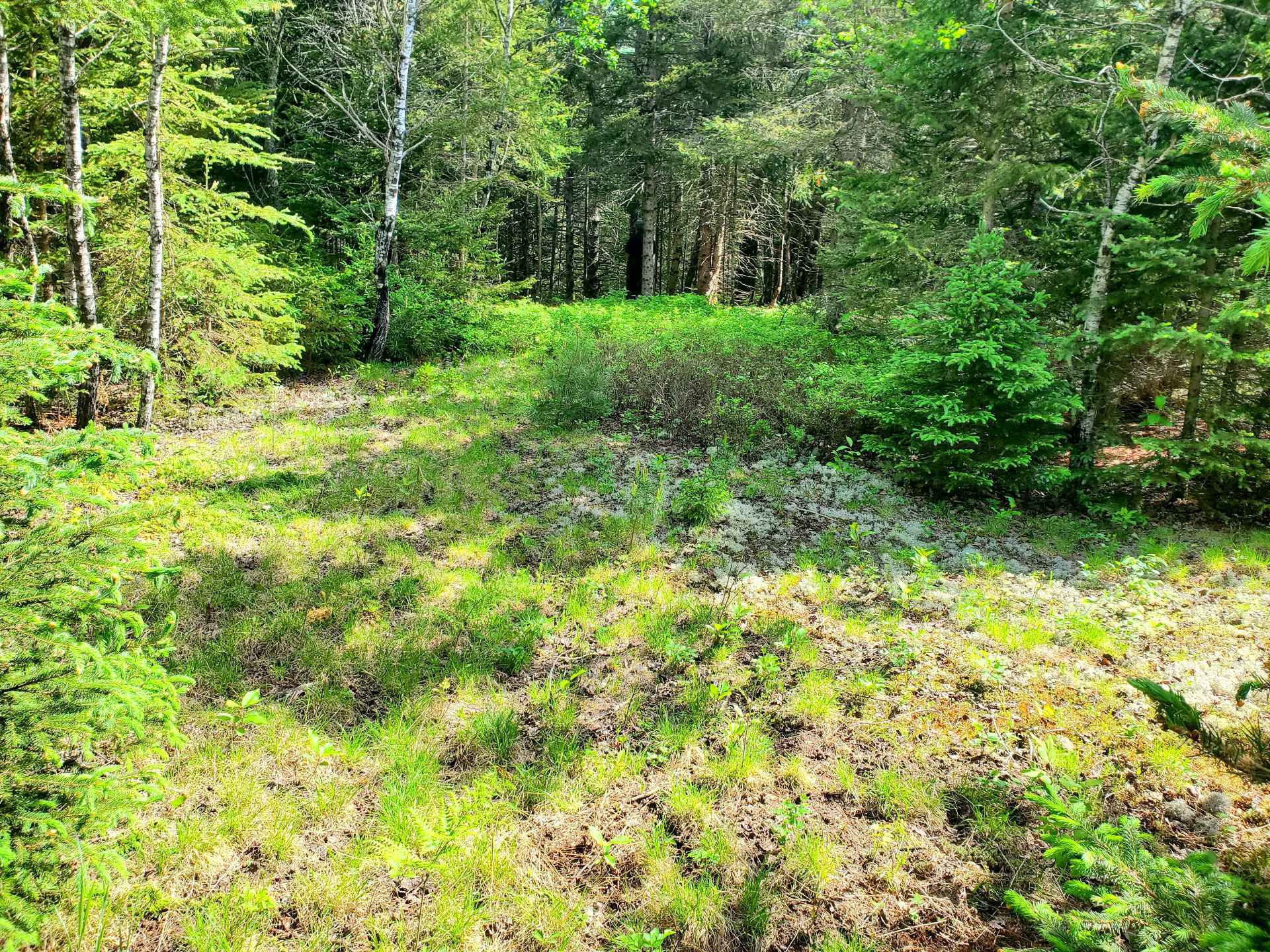 Ch. de la Rivière N. — photo 3