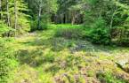 Terre/Terrain