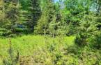 Terre/Terrain