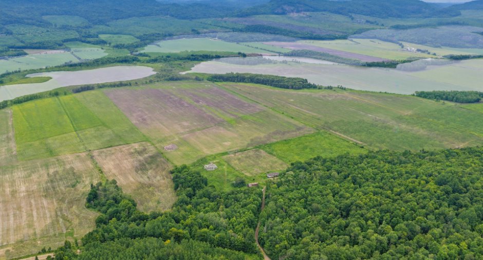 Aerial photo