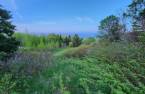 Terre/Terrain