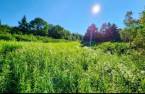 Terre/Terrain