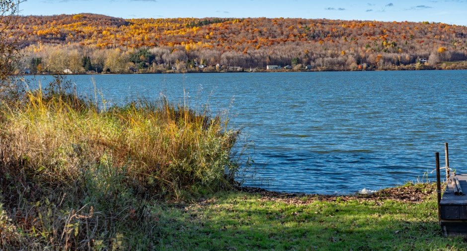 Bord de l'eau
