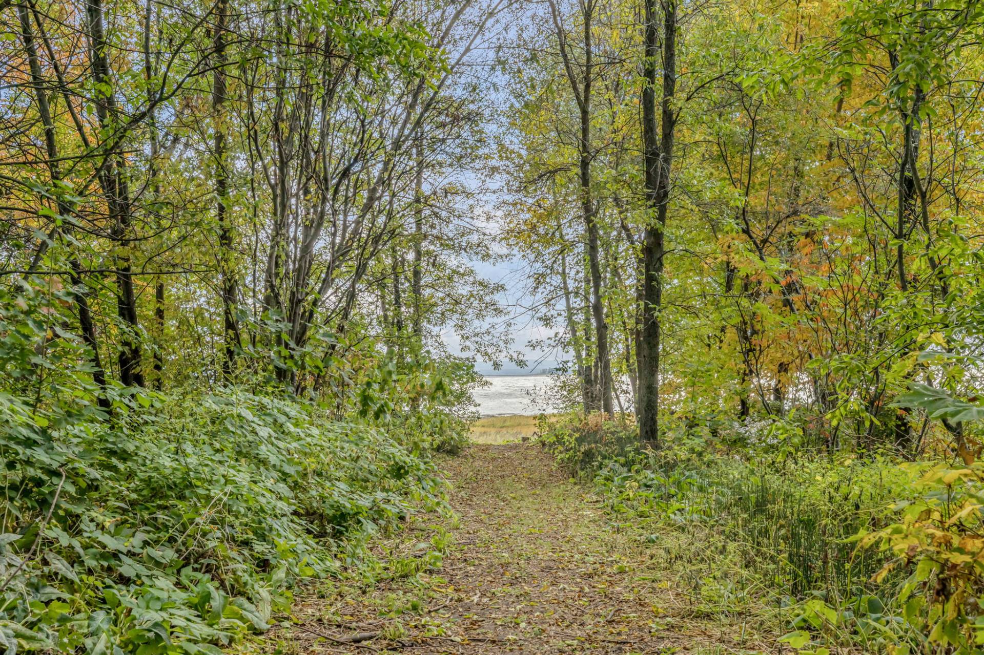 Accès au plan d'eau