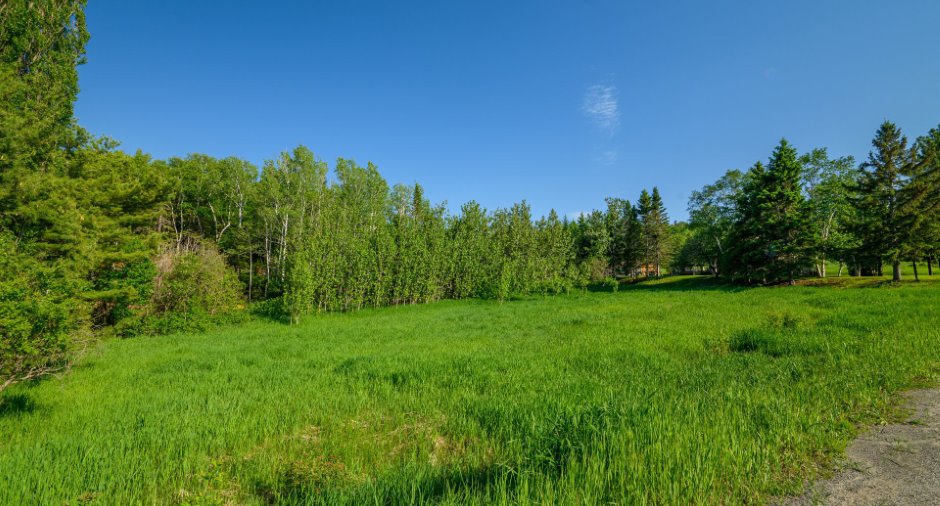 Terre/Terrain