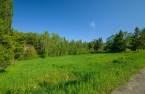 Terre/Terrain
