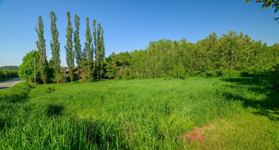 Terre/Terrain