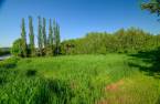 Terre/Terrain
